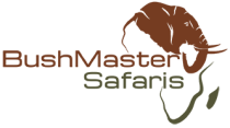 Bush Masters Safari